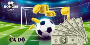 Web cá độ bóng đá - Hành trình khám phá nơi kết nối đam mê bóng